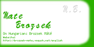 mate brozsek business card